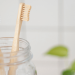A pair of ecological toothbrushes